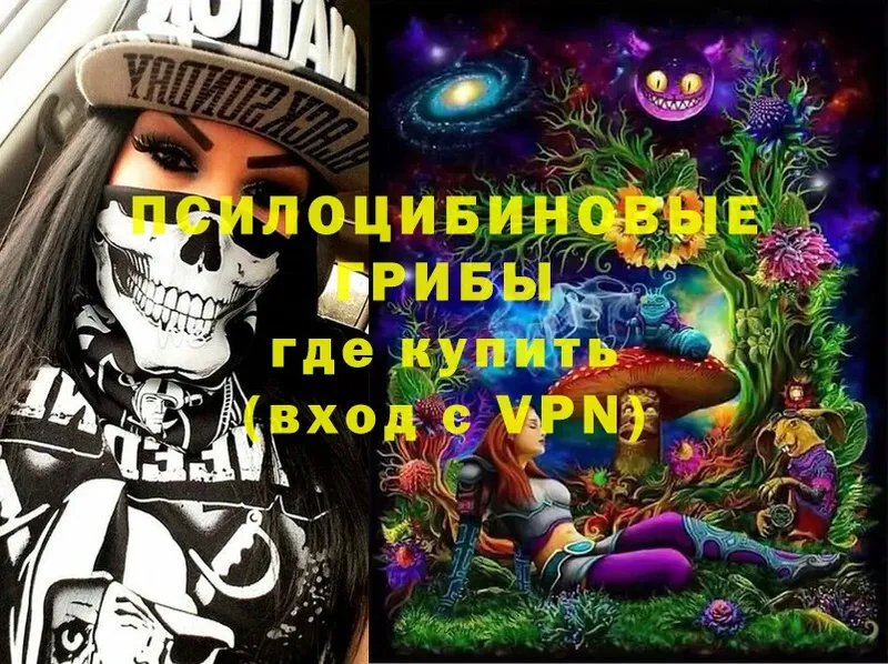 Галлюциногенные грибы Cubensis  Новое Девяткино 